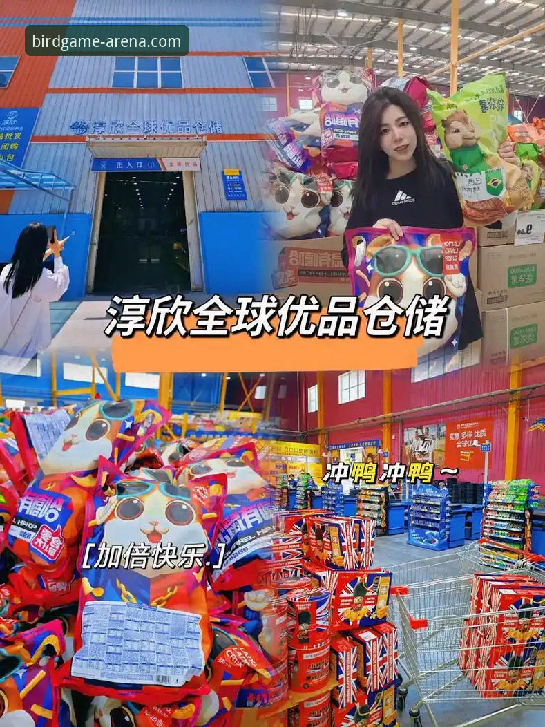 2024小鸟体育官方版本最新动态：赛事服务升级引领互动体验新高度