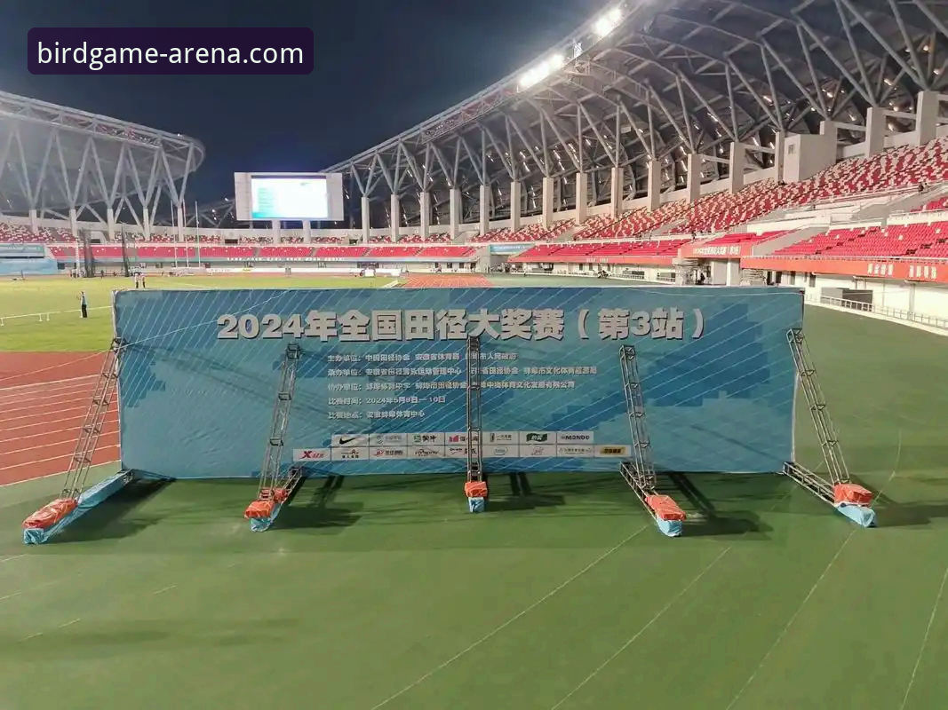 小鸟体育软件下载怎么样 小鸟体育软件下载怎么样?2024年赛事服务平台的深度趋势分析