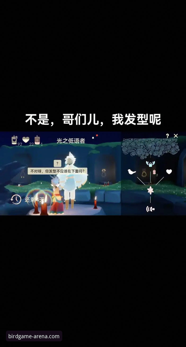 小鸟体育直播2026最新版本安装与使用操作教程