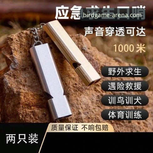 小鸟体育苹果版体验深度评测：高频问题全解与创新突破